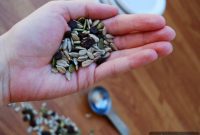 Worry-Free Adventure Mix