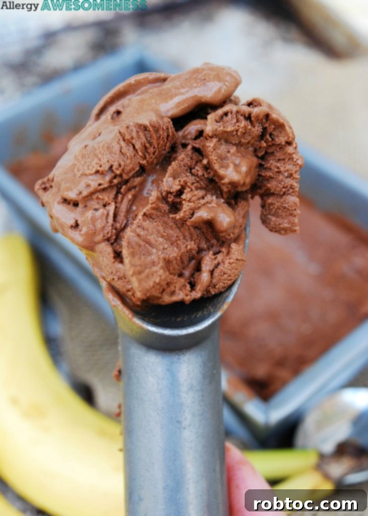 Deliciously creamy No-Churn Vegan Chocolate-Banana Ice Cream, perfect for summer. This allergy-friendly dessert is made easily in a blender, free from gluten, dairy, egg, soy, peanuts, and tree nuts, and is naturally sweetened.