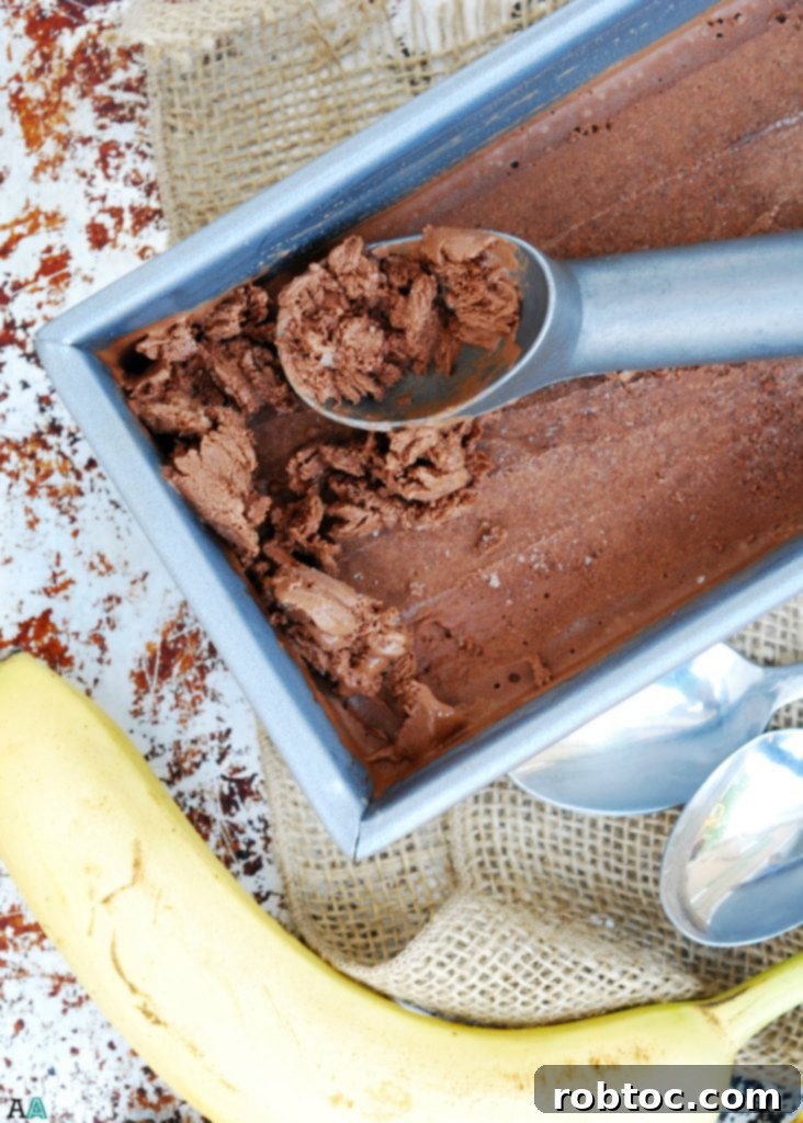 No Churn Vegan Chocolate-Banana Ice Cream (GF, DF, Egg, Soy, Peanut, Tree nut Free, Top 8 Free) A super easy dessert made in your blender! Recipe by Allergy Awesomeness