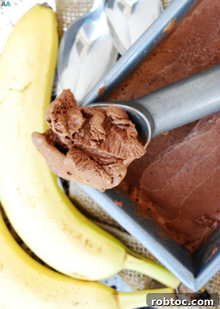 No Churn Vegan Chocolate-Banana Ice Cream (GF, DF, Egg, Soy, Peanut, Tree nut Free, Top 8 Free) A super easy dessert made in your blender! Recipe by Allergy Awesomeness