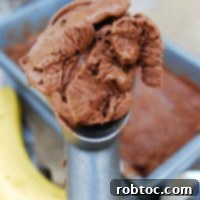 No Churn Vegan Chocolate-Banana Ice Cream (GF, DF, Egg, Soy, Peanut, Tree nut Free, Top 8 Free) A super easy dessert made in your blender! Recipe by Allergy Awesomeness