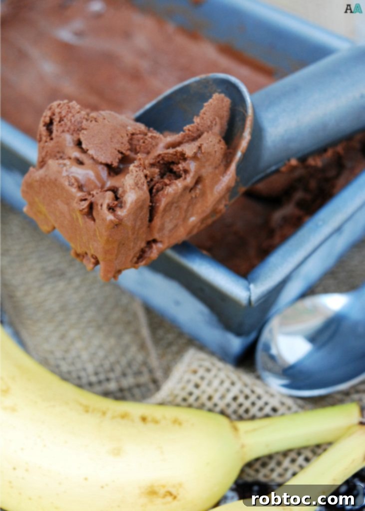 A scoop of No Churn Vegan Chocolate-Banana Ice Cream, highlighting its creamy texture and rich color. This homemade, top 8 allergen-free dessert is a perfect healthy treat.