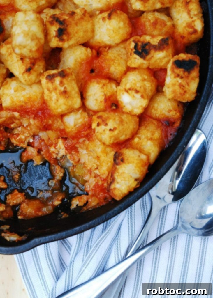 Kid Friendly Allergy Safe Skillet Sloppy Joe Casserole 2 Skillet Sloppy Joe Casserole (GF, DF, Egg, Soy, Peanut, Tree Nut Free) A one pot dinner recipe by Allergy Awesomeness