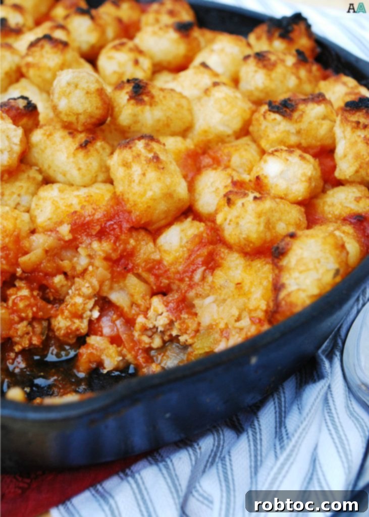 Kid Friendly Allergy Safe Skillet Sloppy Joe Casserole 7 Skillet Sloppy Joe Casserole (GF, DF, Egg, Peanut, Tree Nut Free) A one pot dinner recipe by Allergy Awesomeness