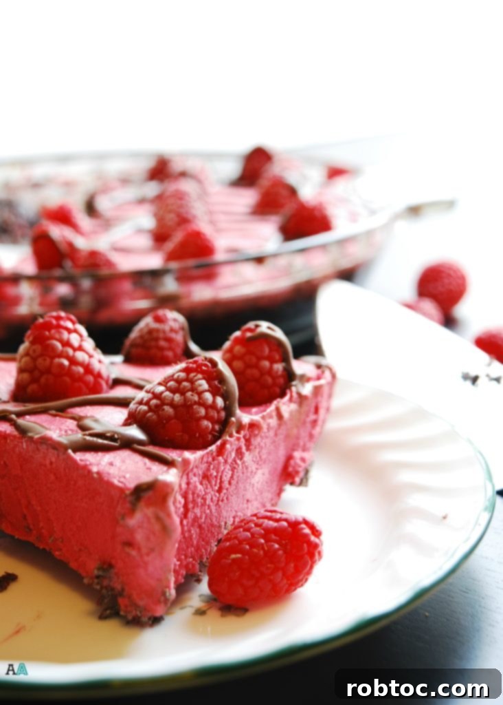 Heavenly Gluten-Free Vegan Frozen Raspberry Pie 2 Delicious Gluten-Free Vegan Frozen Raspberry Pie with chocolate cookie crust, perfect for summer