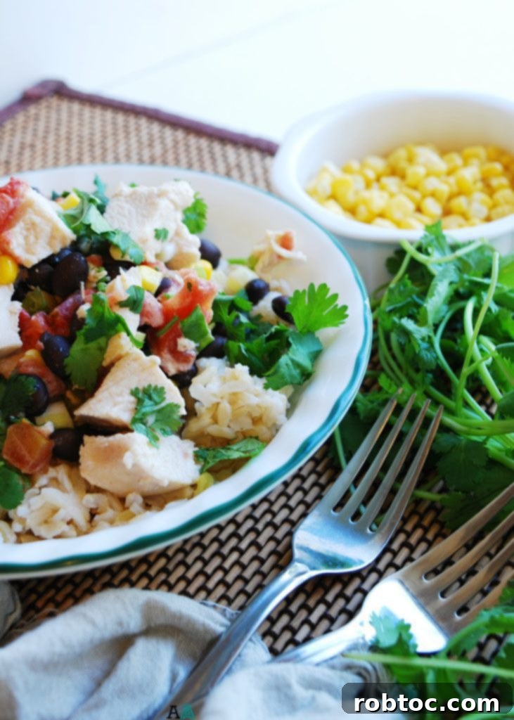 Tender Slow Cooker Santa Fe Chicken served over rice, perfect for an allergy-friendly dinner. (GF, DF, Egg, Peanut, Tree nut Free)