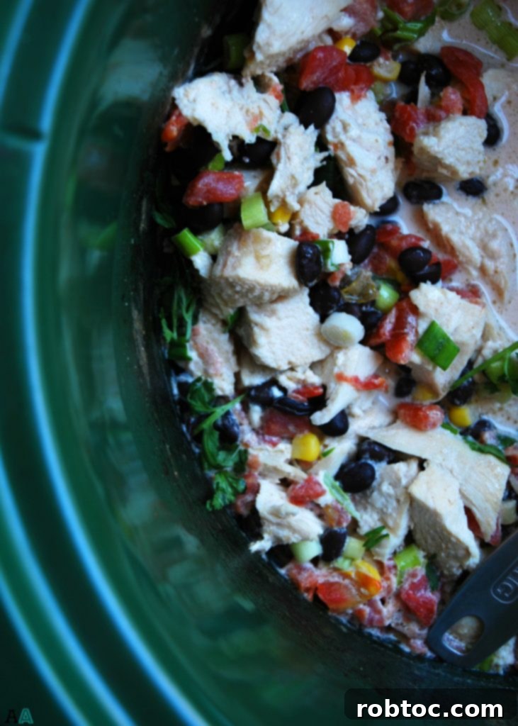 A close-up of Slow Cooker Santa Fe Chicken, highlighting its creamy texture and vibrant ingredients. (GF, DF, Egg, Peanut, Tree nut Free)