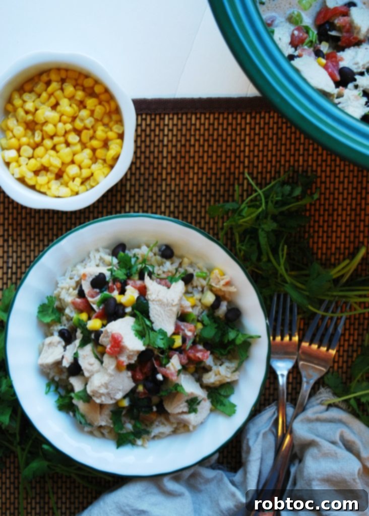 Slow Cooker Santa Fe Chicken served in a bowl, garnished with fresh cilantro, a delicious and healthy dinner. (GF, DF, Egg, Peanut, Tree nut Free)