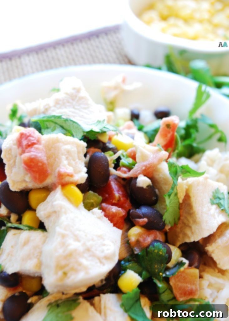 A final shot of Slow Cooker Santa Fe Chicken, showcasing its vibrant colors and delicious appeal. (GF, DF, Egg, Peanut, Tree nut Free)