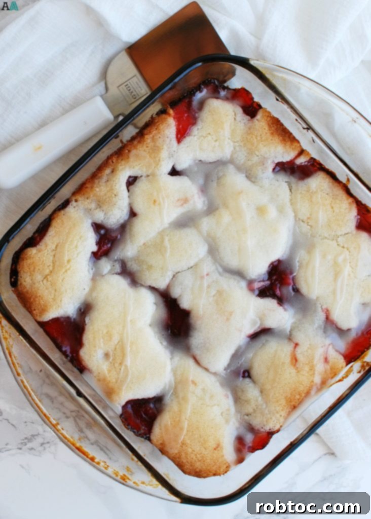 Freshly baked Vegan Cherry Cobbler with a golden crust and glistening cherry filling. Gluten-free, dairy-free, egg-free, soy-free, nut-free dessert.
