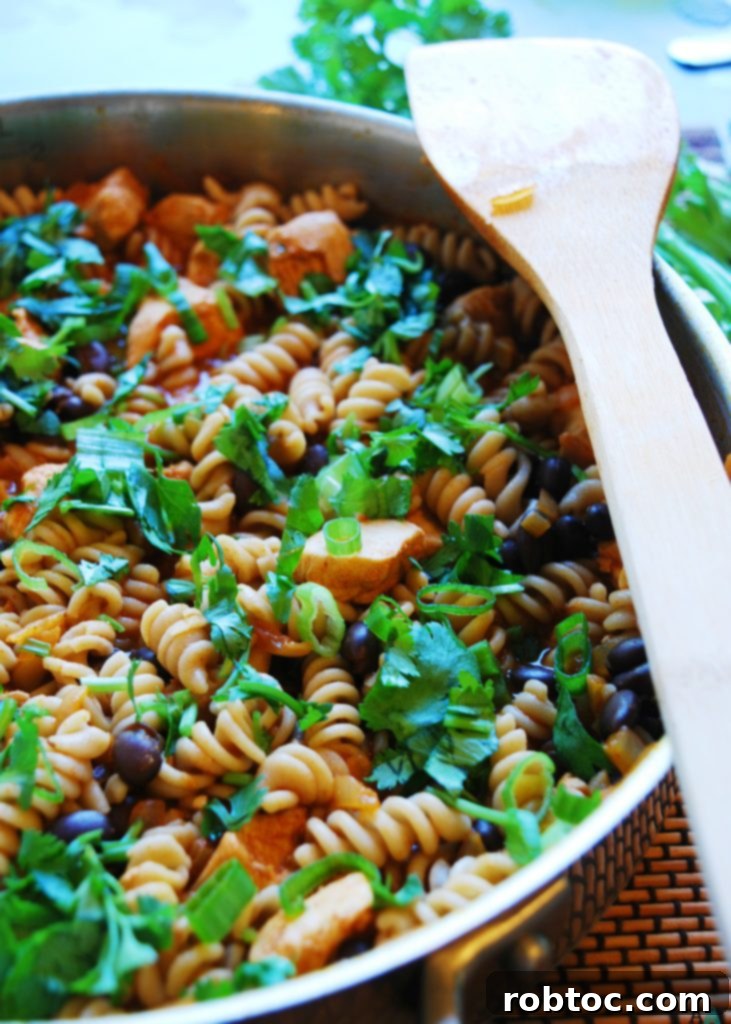 Allergen-Friendly Chicken Enchilada Pasta 4 Chicken Enchilada Pasta (Gluten, dairy, egg, soy, peanut and tree nut free; top 8 free) Dinner recipe by AllergyAwesomeness.com