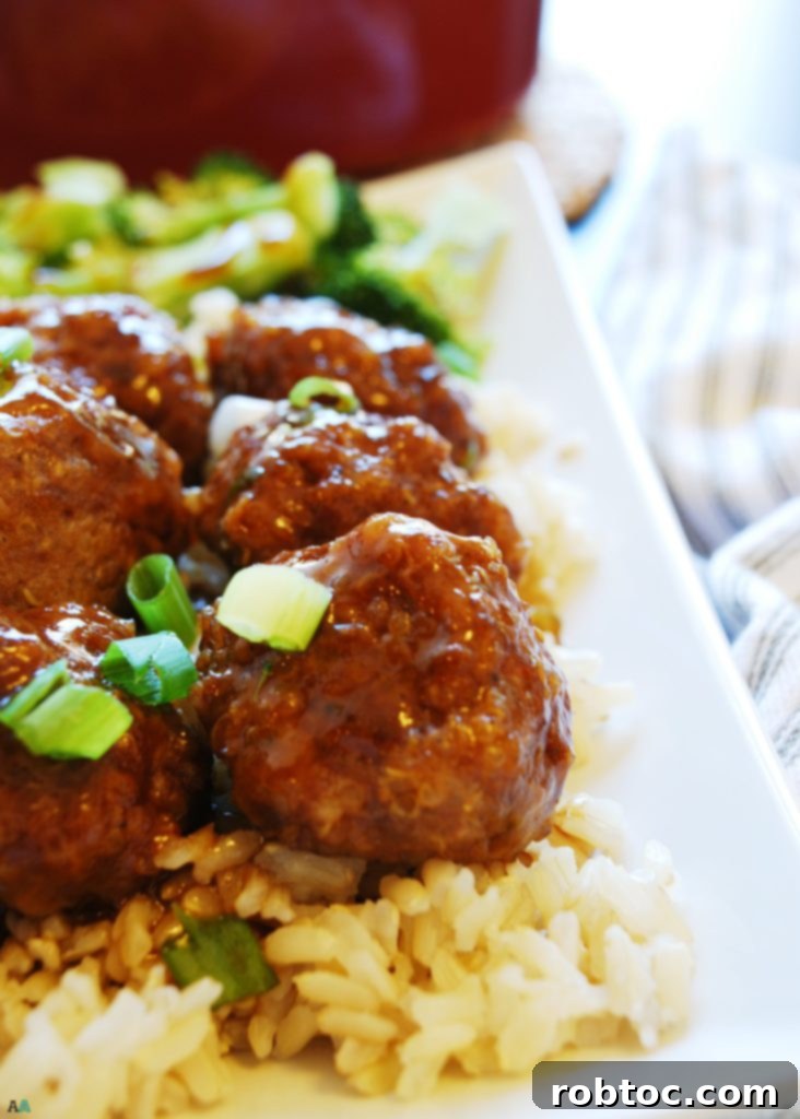 Delicious & Allergy-Friendly Quinoa Teriyaki Skillet Meatballs 7 Quinoa Teriyaki Skillet Meatballs (Gluten, dairy, egg, peanut and tree nut free) Dinner recipe by AllergyAwesomeness.com