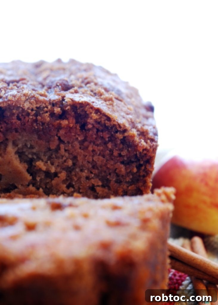Overhead shot of a beautifully baked Applesauce Quick Bread, ready for slicing. This gluten-free, vegan, and top 8 allergy-free recipe is perfect for autumn.