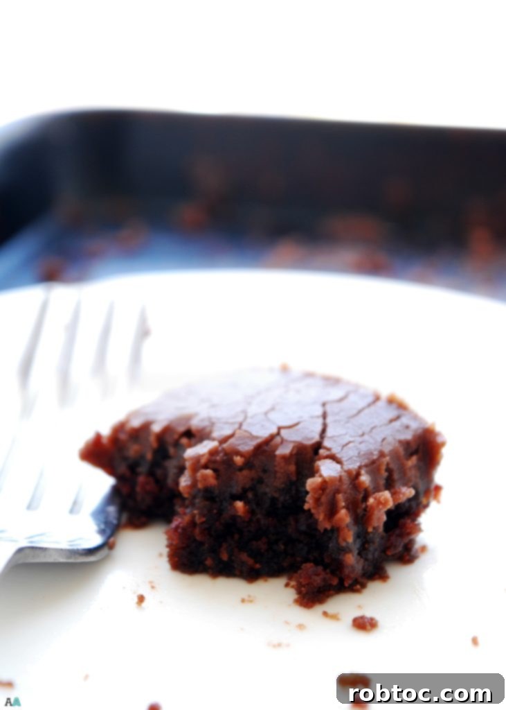 Allergy-Friendly Gluten-Free Vegan Chocolate Sheet Cake 3 Chocolate Sheet Cake (Gluten, dairy, egg, soy, peanut and tree nut free; top 8 free; vegan) Dessert recipe by AllergyAwesomeness.com