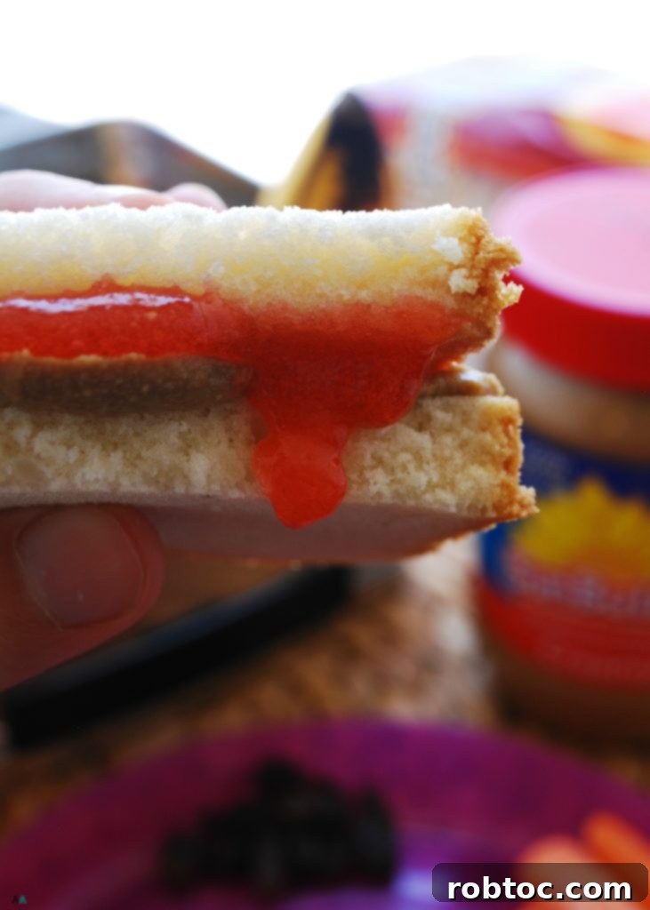 Allergy-Friendly "PB&J" (Gluten, dairy, egg, soy, peanut & tree nut free; top 8 free; vegan) School lunch recipe by AllergyAwesomeness.com