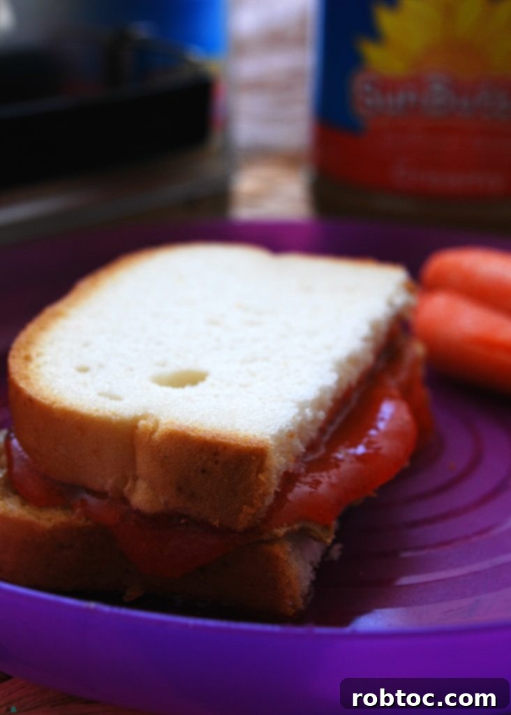 Allergy-Friendly "PB&J" (Gluten, dairy, egg, soy, peanut & tree nut free; top 8 free; vegan) School lunch recipe by AllergyAwesomeness.com