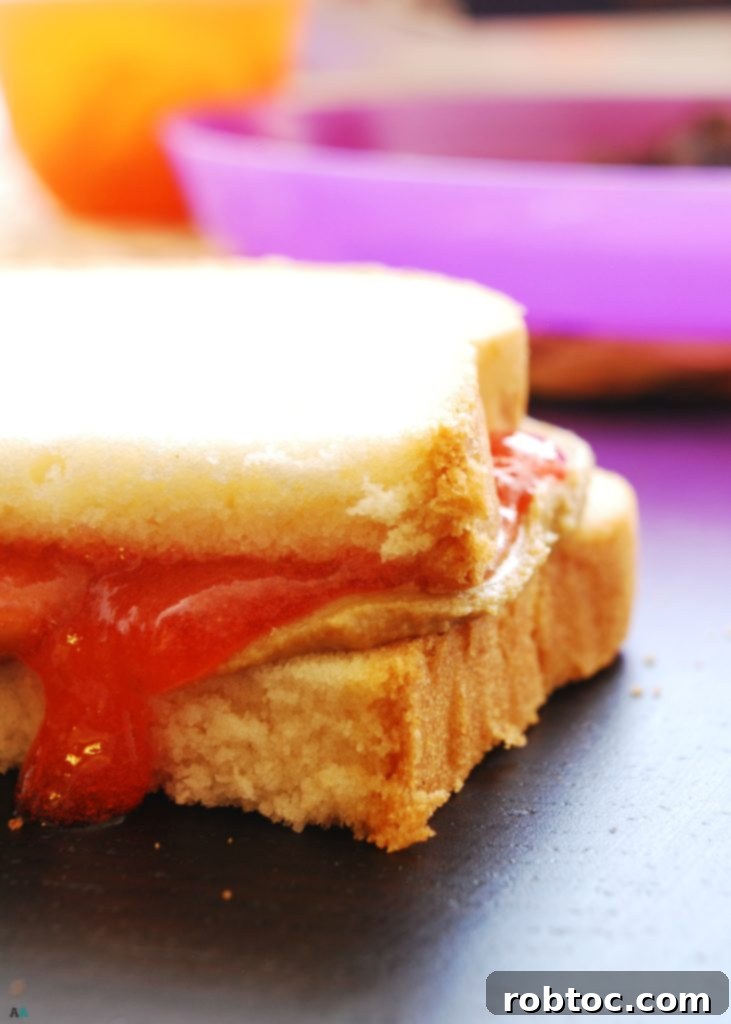 Allergy-Friendly "PB&J" (Gluten, dairy, egg, soy, peanut & tree nut free; top 8 free; vegan) School lunch recipe by AllergyAwesomeness.com