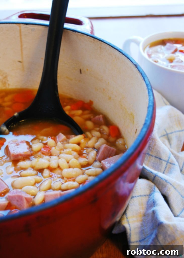 Ham and Bean Soup A Top 8 Allergen Free Recipe Plus Giveaway 3 Delicious Homemade Ham and Bean Soup with a Hearty Broth - Gluten-Free, Dairy-Free Allergy-Friendly Dinner