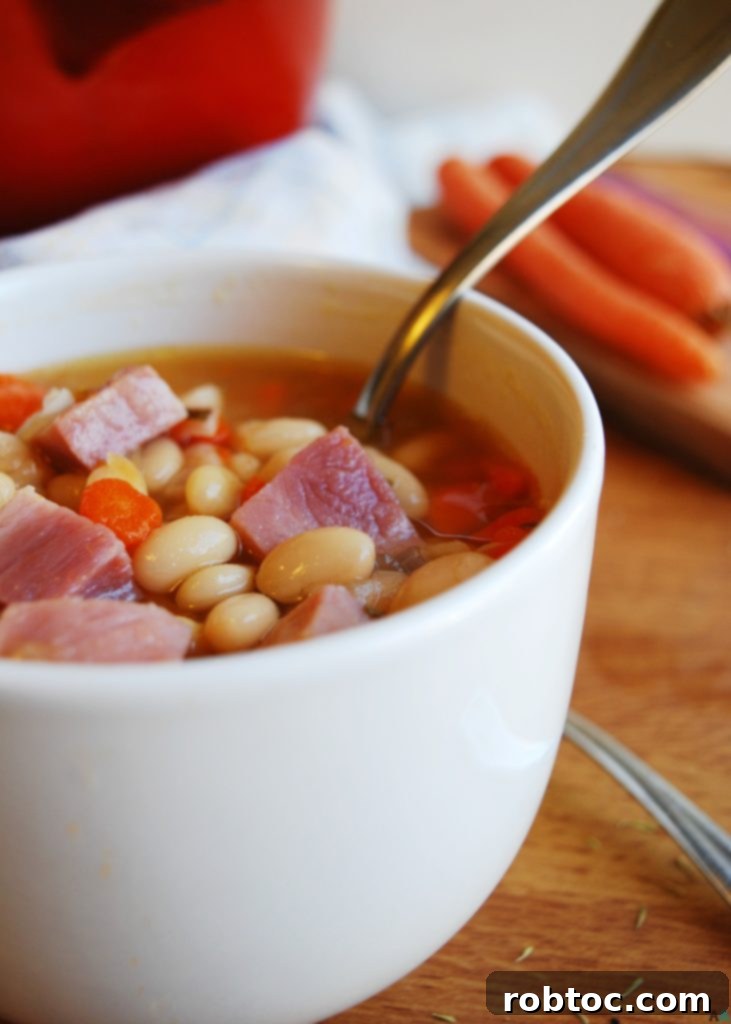 Ham and Bean Soup A Top 8 Allergen Free Recipe Plus Giveaway 7 Close-up of Hearty Ham and Bean Soup in a bowl - Gluten-Free, Dairy-Free, Allergy-Friendly