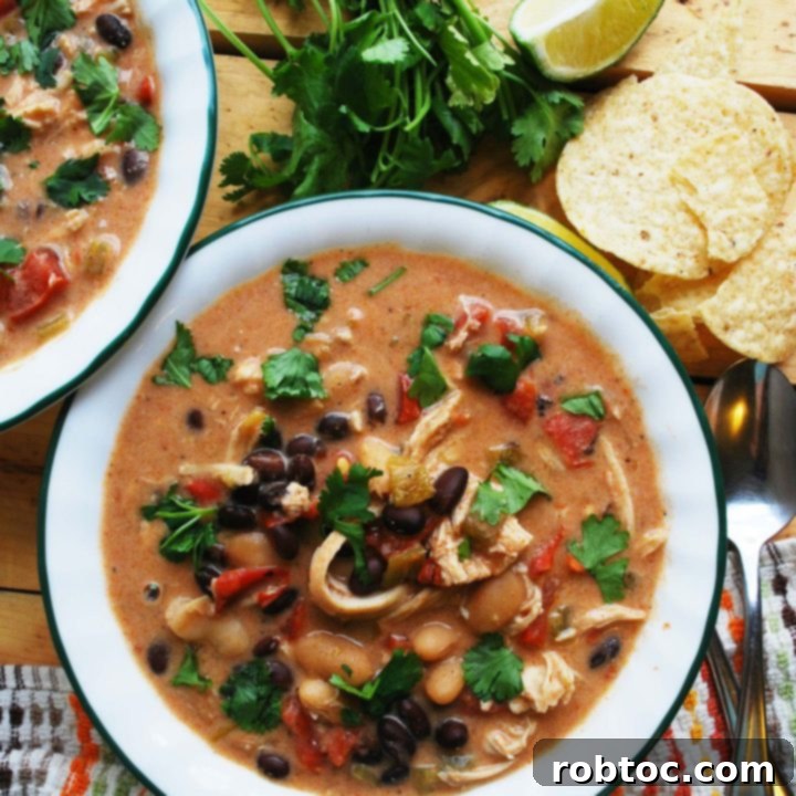 dairy-free-Slow-Cooker-Green-Chile-Enchilada-Soup-recipe