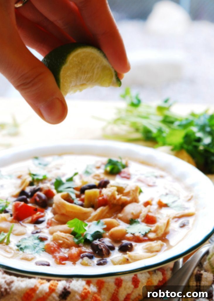 Slow Cooker Green Chile Enchilada Soup Allergy Friendly 8 Slow Cooker Green Chile Enchilada Soup (Gluten, dairy, egg, peanut & tree nut free) Soup recipe by AllergyAwesomeness