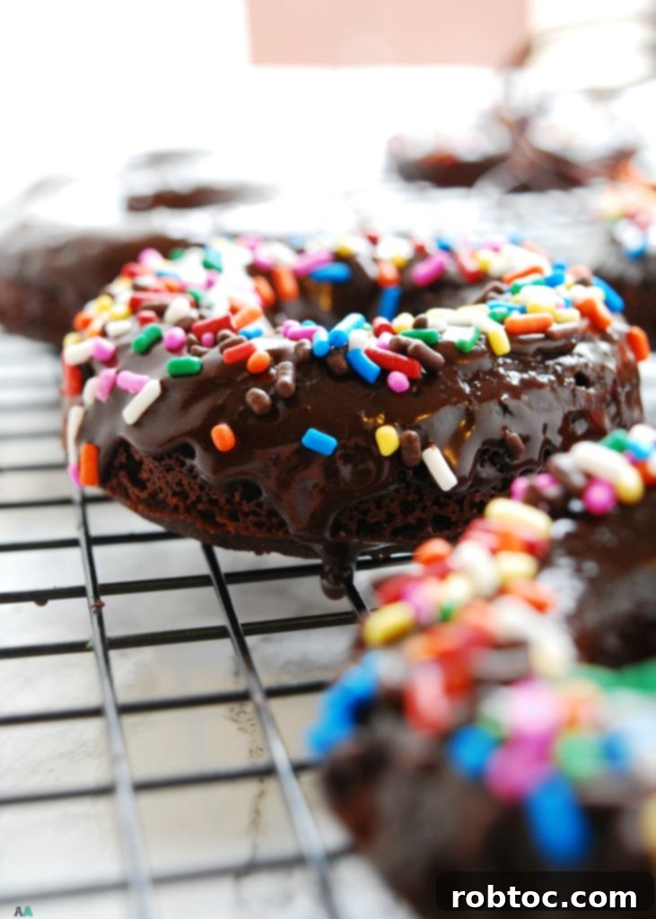 Gluten-free & Vegan Double Chocolate Baked Donuts (Gluten, dairy, egg, soy, peanut & tree nut free; top 8 free) Breakfast recipe by AllergyAwesomeness.com