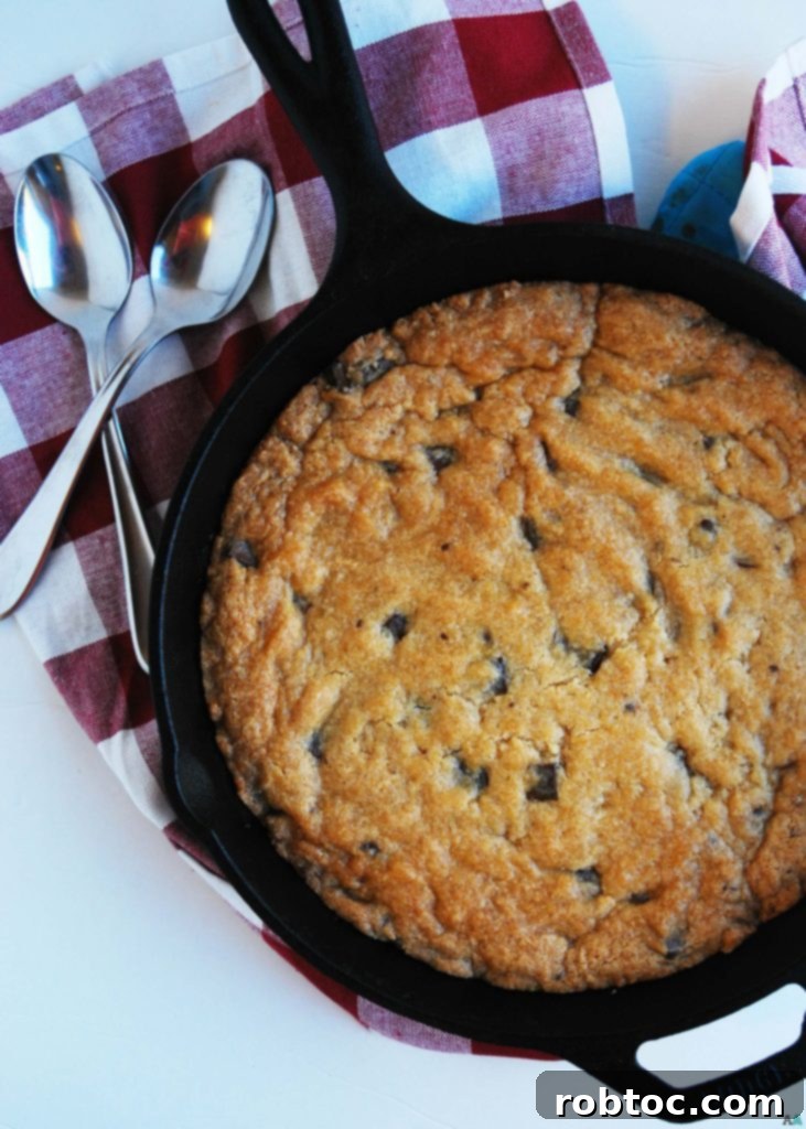 Nut-Free Gluten-Free Vegan Skillet Cookie 2 Delicious Gluten-free and Vegan Skillet Chocolate Chip Cookie, perfect for those with allergies, served warm with dairy-free ice cream.
