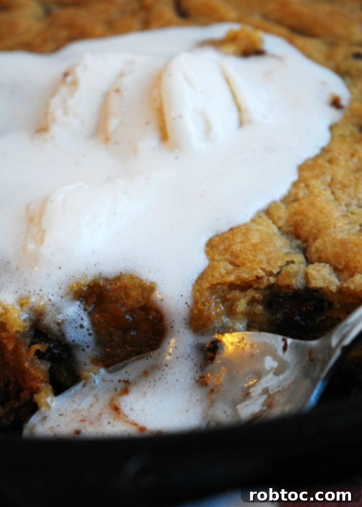 Nut-Free Gluten-Free Vegan Skillet Cookie 3 Close-up of a warm Gluten-free and Vegan Skillet Chocolate Chip Cookie with melted dairy-free ice cream, highlighting the gooey texture.