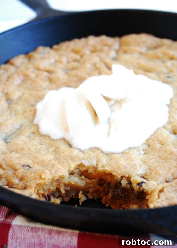 Nut-Free Gluten-Free Vegan Skillet Cookie 8 Gluten-free & Vegan Skillet Chocolate Chip Cookie with a generous scoop of dairy-free ice cream melting on top.