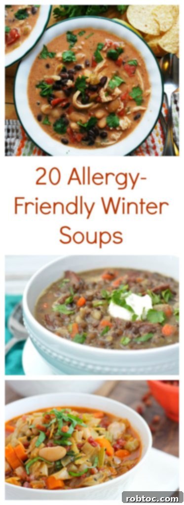 Pin this collection: 25 Allergy-Friendly Winter Soups by AllergyAwesomeness.com