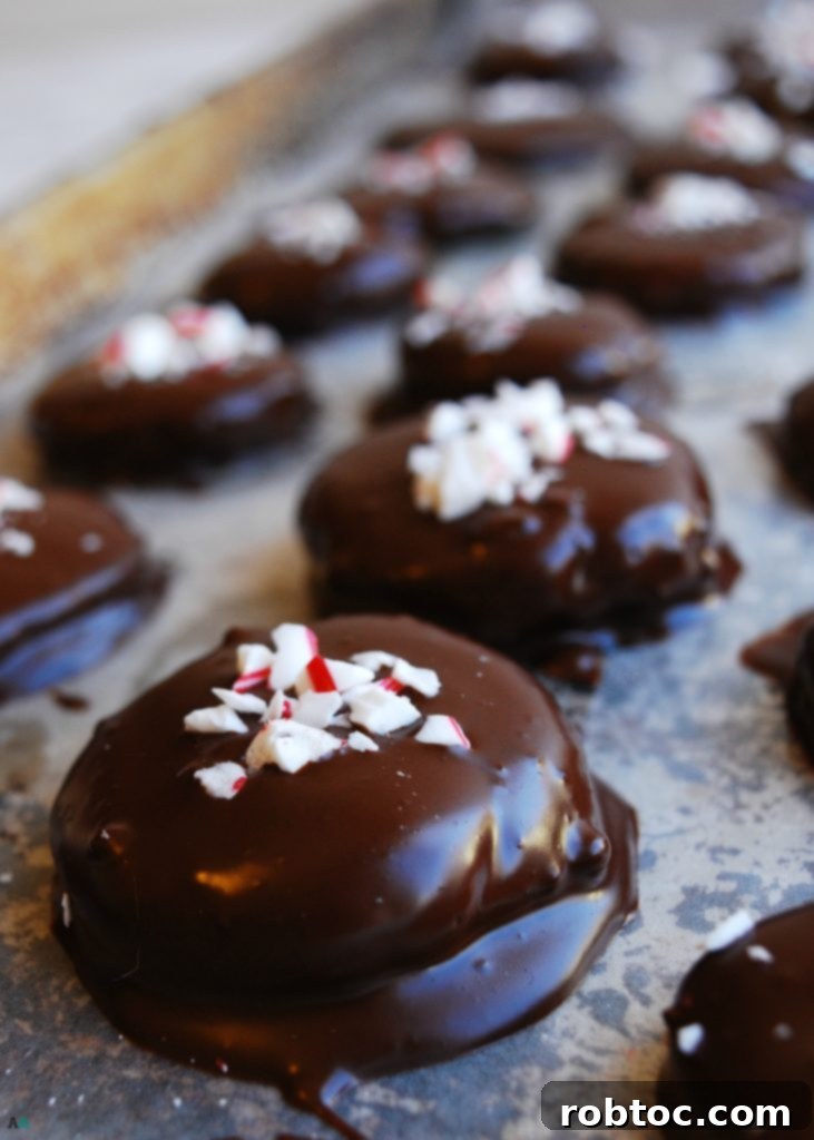 Homemade Dairy-Free Peppermint Patties (Gluten-free, vegan, top 8 allergy-friendly) for festive occasions. Holiday dessert recipe by AllergyAwesomeness.com