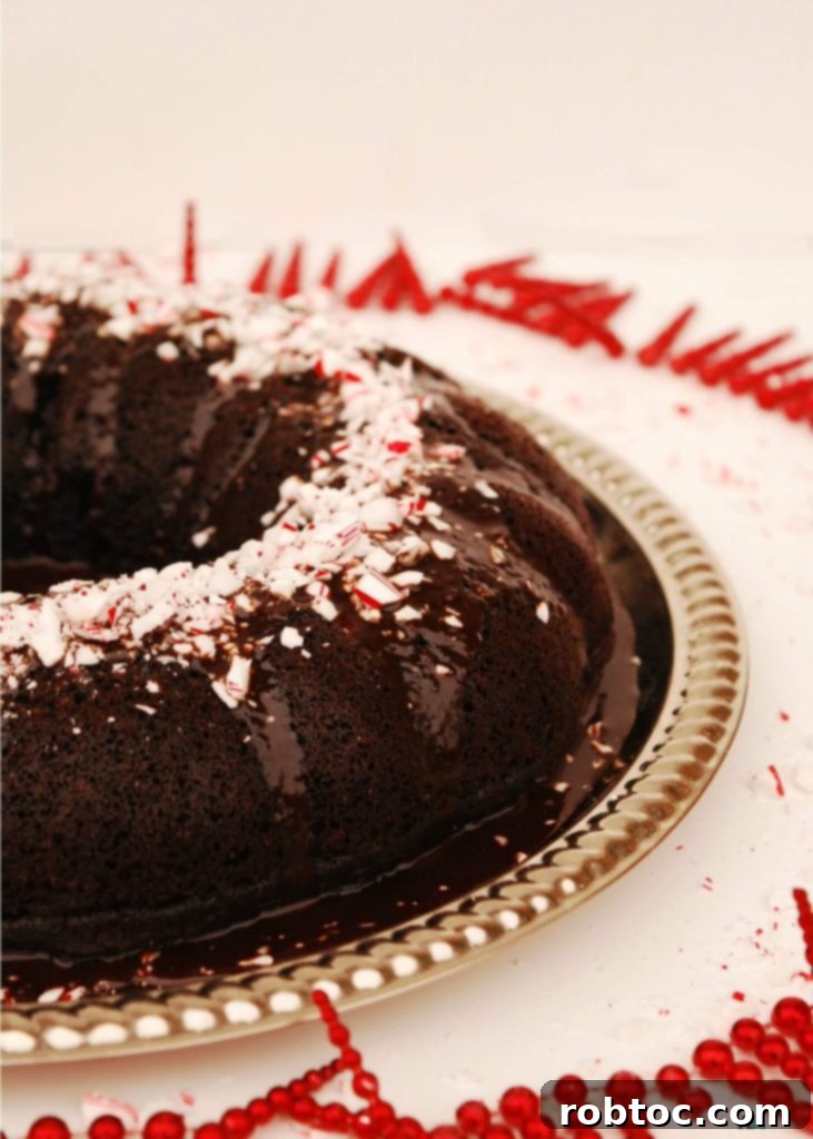 Chocolate Bundt Cake with Dark Peppermint Ganache, a gluten-free, dairy-free, egg-free, soy-free, peanut-free, tree nut-free, top 8 free, and vegan holiday dessert.