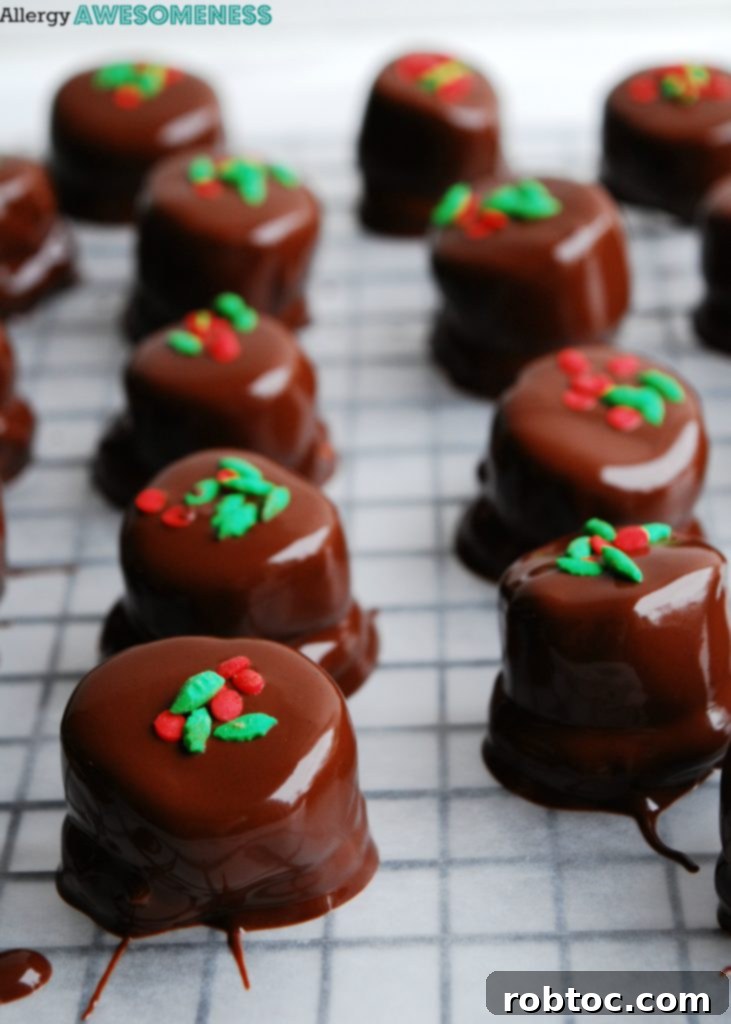 Top Allergen-Free Vegan No-Bake Chocolate Pretzel Bites 11 Final presentation of allergy-friendly no-bake chocolate pretzel bites on a festive platter.