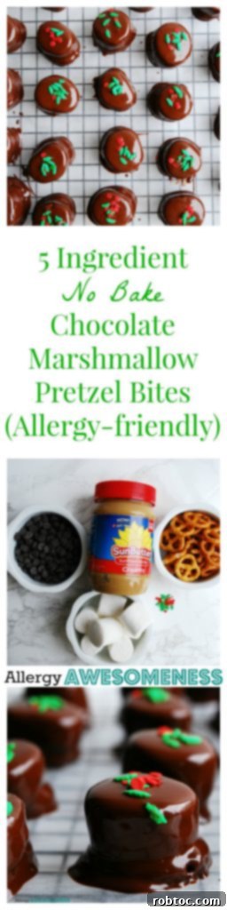Top Allergen-Free Vegan No-Bake Chocolate Pretzel Bites 12 Pinterest pin graphic for Allergy-Friendly, 5 Ingredient, No-Bake Chocolate Marshmallow Pretzel Bites dessert recipe by AllergyAwesomeness.com