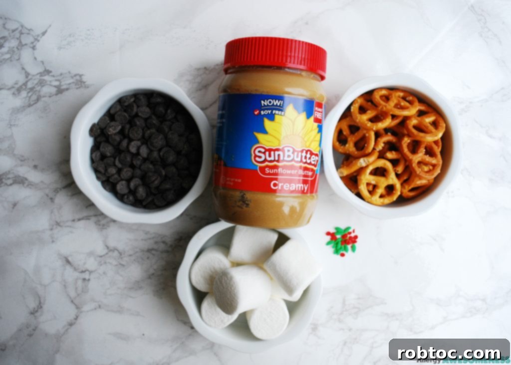 Top Allergen-Free Vegan No-Bake Chocolate Pretzel Bites 3 Key ingredients for allergy-friendly no-bake chocolate pretzel bites, including gluten-free pretzels, vegan chocolate chips, SunButter, and vegan marshmallows.