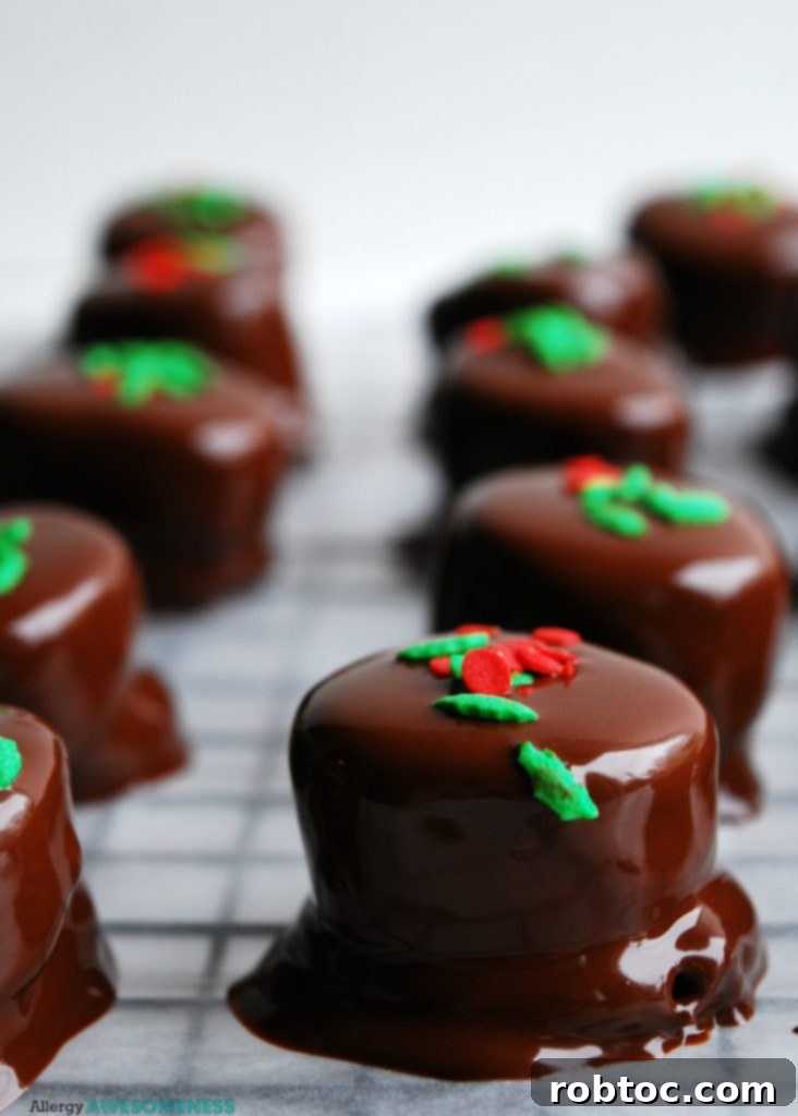 Top Allergen-Free Vegan No-Bake Chocolate Pretzel Bites 8 Plated allergy-friendly no-bake chocolate pretzel bites ready to be served, perfect for holiday gatherings.