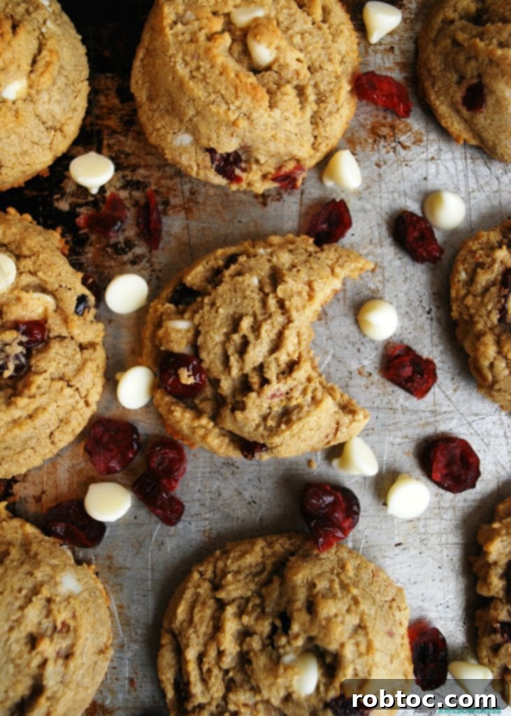 Gluten, Dairy, Soy, and Nut-Free White Chocolate Craisin Cookies 2 Thick gluten-free and dairy-free white chocolate craisin cookies on a cooling rack