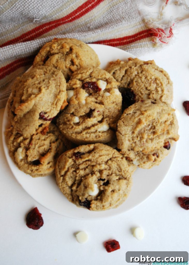 Gluten, Dairy, Soy, and Nut-Free White Chocolate Craisin Cookies 3 Close-up of baked white chocolate craisin cookie showing texture