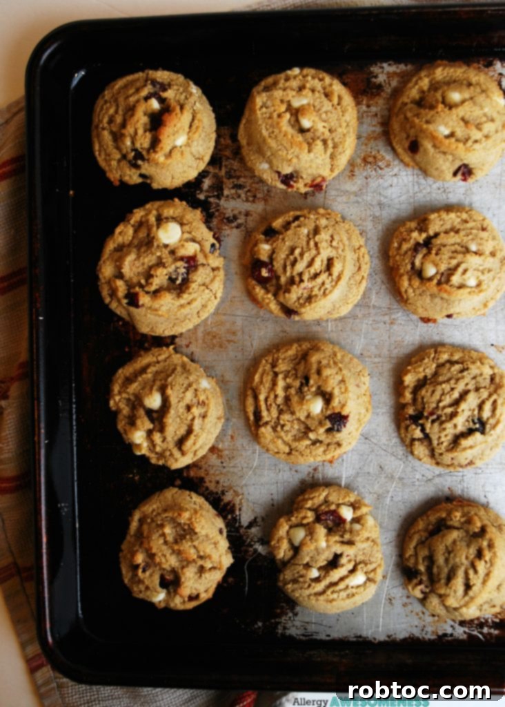 Gluten, Dairy, Soy, and Nut-Free White Chocolate Craisin Cookies 4 Stack of freshly baked gluten-free and dairy-free white chocolate craisin cookies