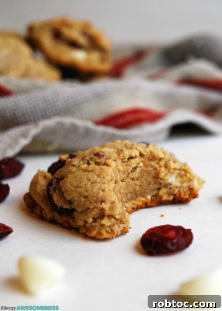 Gluten, Dairy, Soy, and Nut-Free White Chocolate Craisin Cookies 5 Batch of gluten-free dairy-free white chocolate craisin cookies cooling