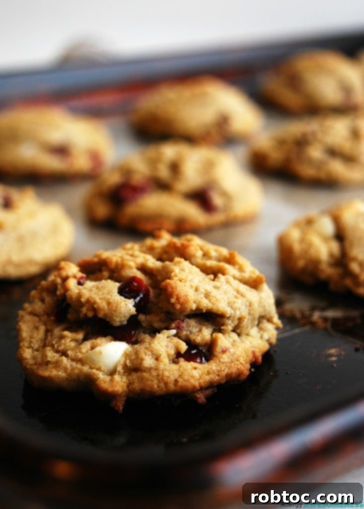 Gluten, Dairy, Soy, and Nut-Free White Chocolate Craisin Cookies 9 Plate of allergy-friendly white chocolate craisin cookies