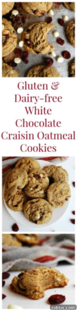 Gluten, Dairy, Soy, and Nut-Free White Chocolate Craisin Cookies 10 Gluten-free & Vegan White Chocolate Craisin Oatmeal Cookies Dessert Recipe by AllergyAwesomeness (Top 8 free too!)