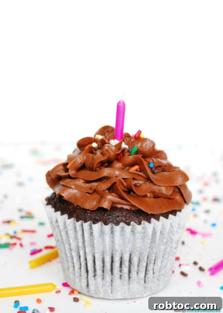 Worry Free Chocolate Birthday Cupcakes Gluten Dairy Egg Peanut Tree Nut Free Vegan 3 Rich vegan chocolate cupcakes, perfect for anyone with dietary restrictions