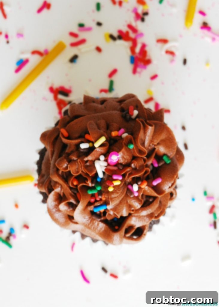 Worry Free Chocolate Birthday Cupcakes Gluten Dairy Egg Peanut Tree Nut Free Vegan 4 Moist gluten-free and dairy-free chocolate cupcakes with chocolate frosting, perfect for any celebration