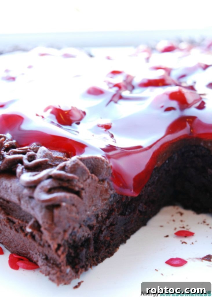Gluten-Free Vegan Double Cherry Chocolate Cake, Top 8 Allergen-Free 6 Gluten-free Vegan Cherry Chocolate Cake. Dessert recipe by AllergyAwesomeness.com