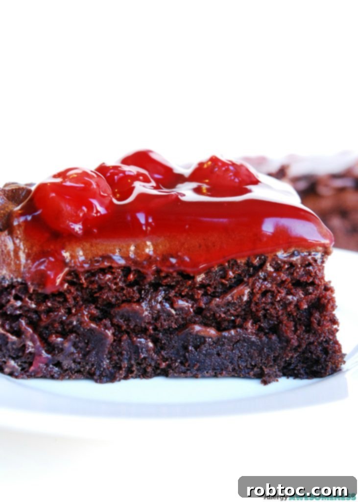 Gluten-Free Vegan Double Cherry Chocolate Cake, Top 8 Allergen-Free 8 Gluten-free Vegan Cherry Chocolate Cake. Dessert recipe by AllergyAwesomeness.com