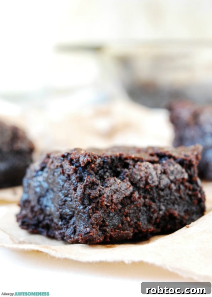 Fudgy vegan brownies. Dessert recipe by AllergyAwesomeness.com
