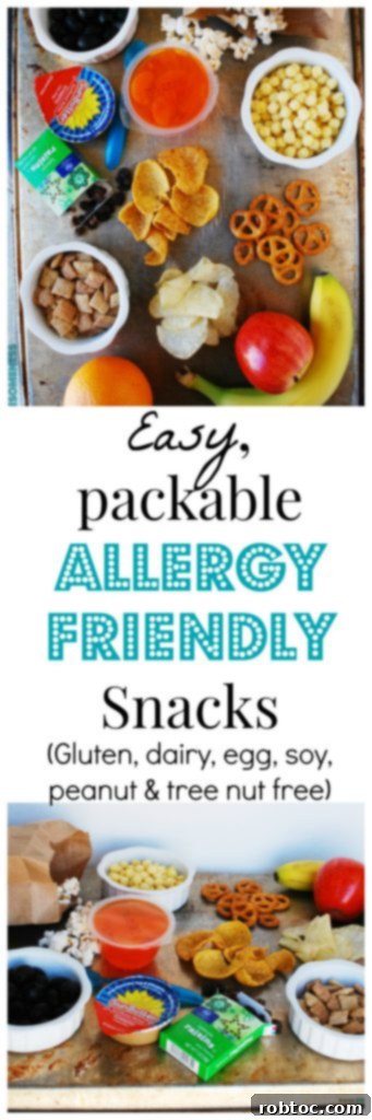 Easy Portable Allergy Friendly Snacks by AllergyAwesomeness