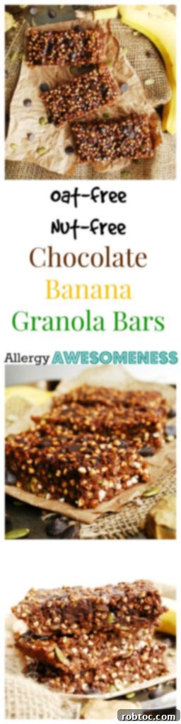 Oat free & Nut Free Chocolate Banana Granola Bars by AllergyAwesomeness