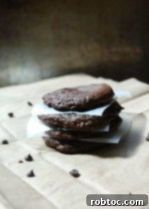 Soft and chewy Double Choco Chip Cookies, a vegan, gluten-free, and top 8 allergen-free dessert recipe